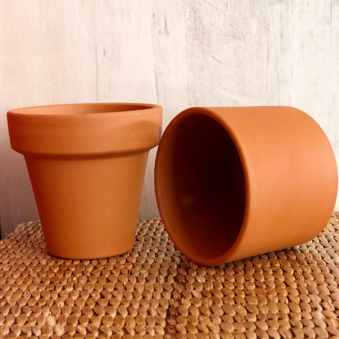 Organic Eco-Friendly Terracotta Powder (Red Soil)